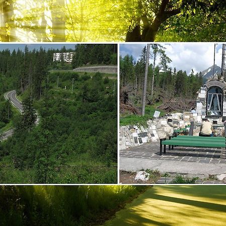 Apartman Solisko Vysoké Tatry Eksteriør billede