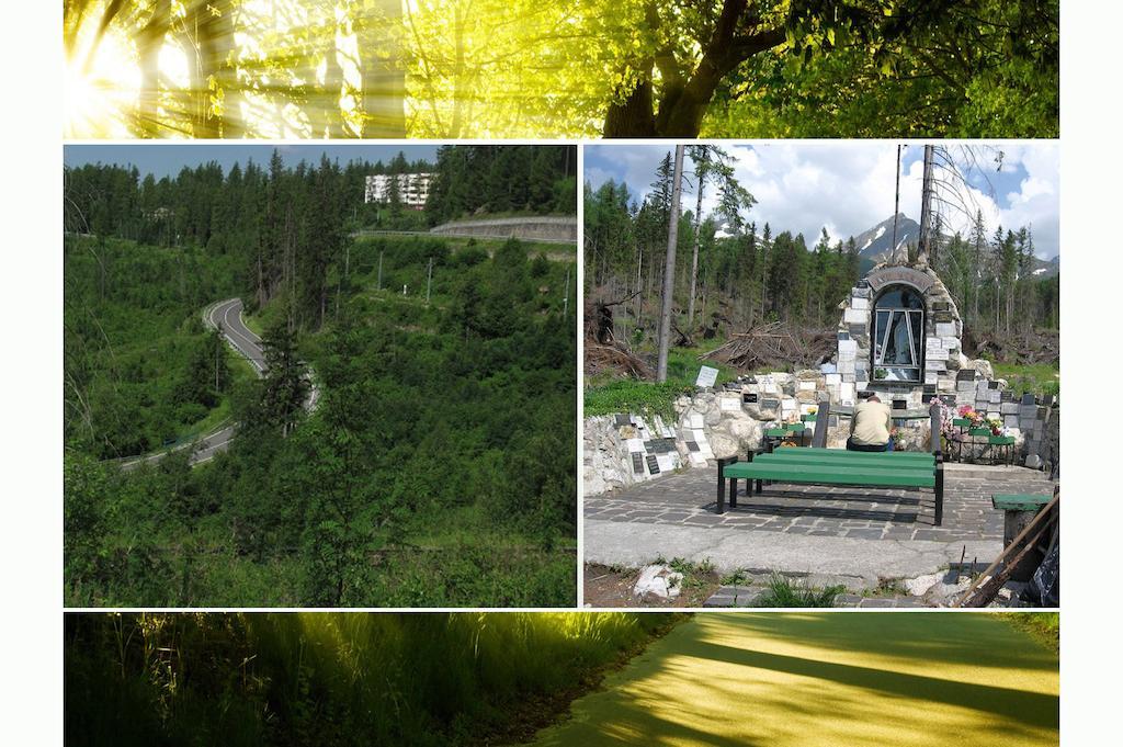 Apartman Solisko Vysoké Tatry Eksteriør billede